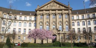 Haupteingang Oberlandesgericht Köln mit grüner Rasenfläche und blühendem Baum